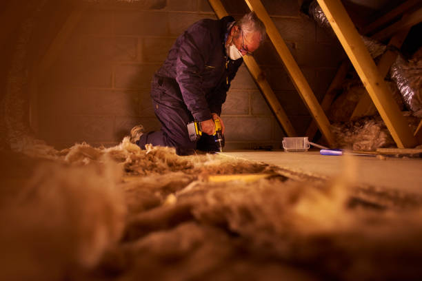 Best Types of Insulation in Muniz, TX